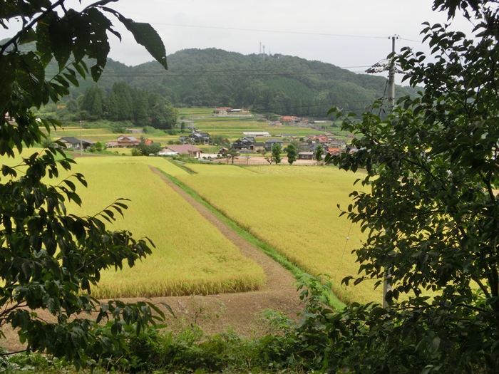 a0199979_15195898.jpg