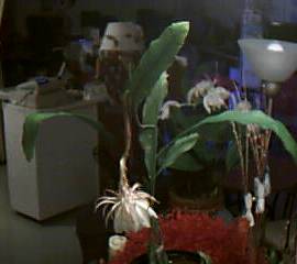 d0337981_15362661.jpeg