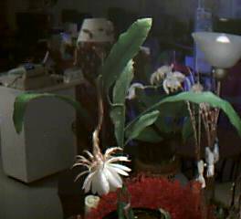 d0337981_15362674.jpeg