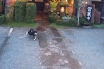 くらしの中の陶磁器フェア_d0195183_0124472.jpg