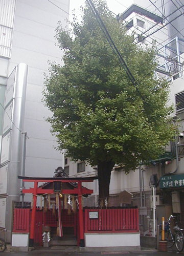 ●神社の造形―歯神社_d0053294_2255116.jpg
