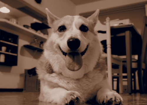 f0056297_21283768.png