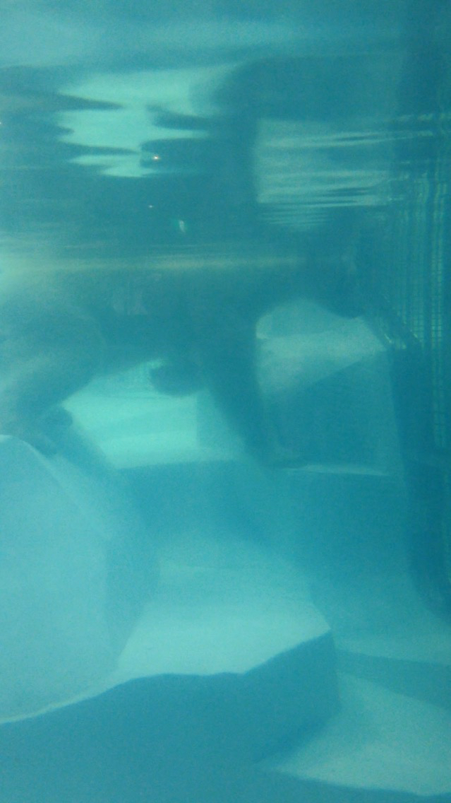 南紀白浜旅行 アドベンチャーワールド_a0188798_23002609.jpg