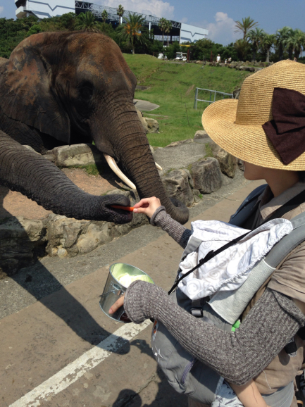南紀白浜旅行 アドベンチャーワールド_a0188798_23002669.jpg