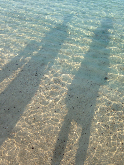 南紀白浜旅行 アドベンチャーワールド_a0188798_23002716.jpg