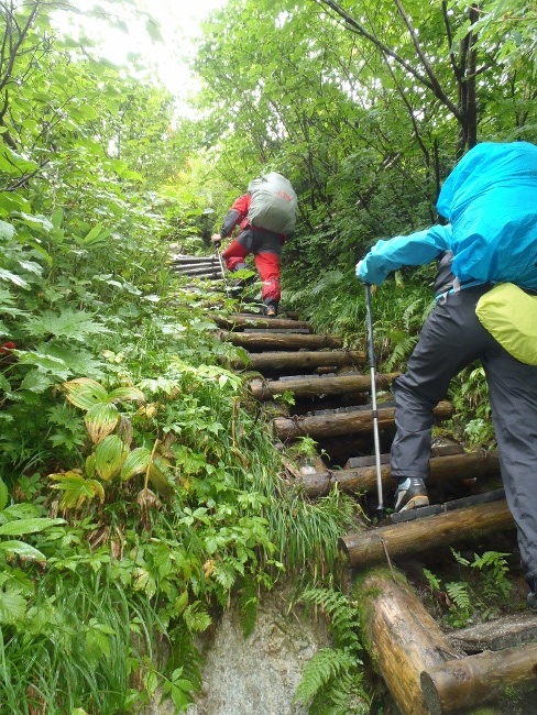 北アルプス大縦走 2015/08/31～09/04[薬師沢小屋編]_a0320601_17031260.jpg