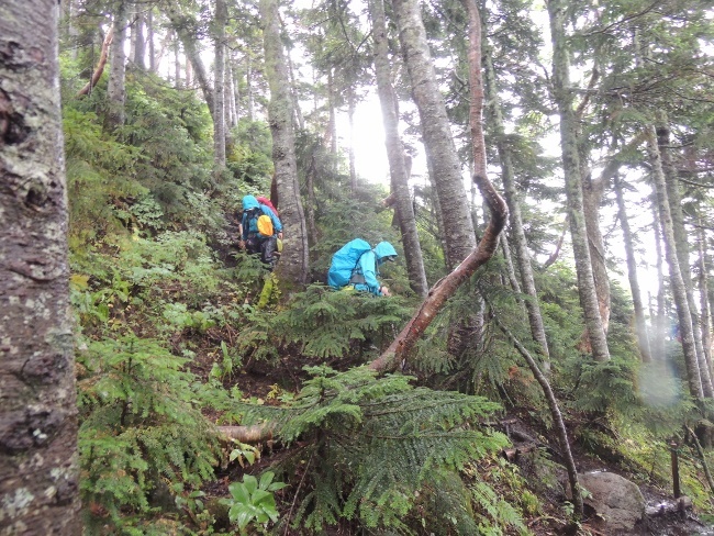 北アルプス大縦走 2015/08/31～09/04[高天原山荘編]_a0320601_23303399.jpg