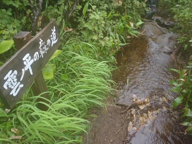 北アルプス大縦走 2015/08/31～09/04[高天原山荘編]_a0320601_23322953.jpg