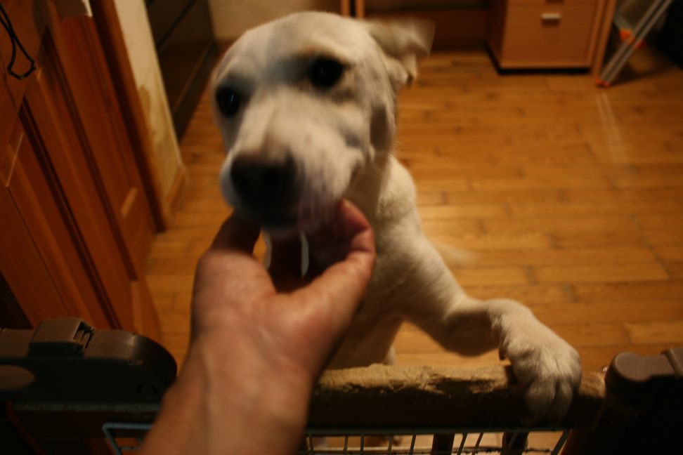 f0242002_22585644.jpg