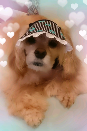 c0128303_2391342.png