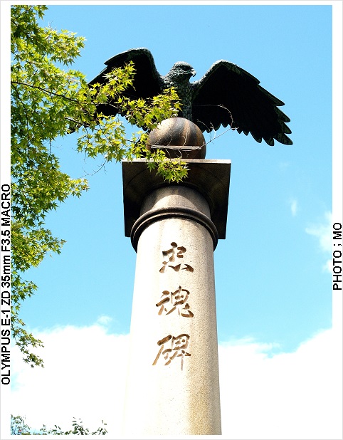 c0185705_1652597.jpg
