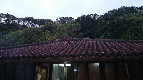 f0006509_16505832.jpg