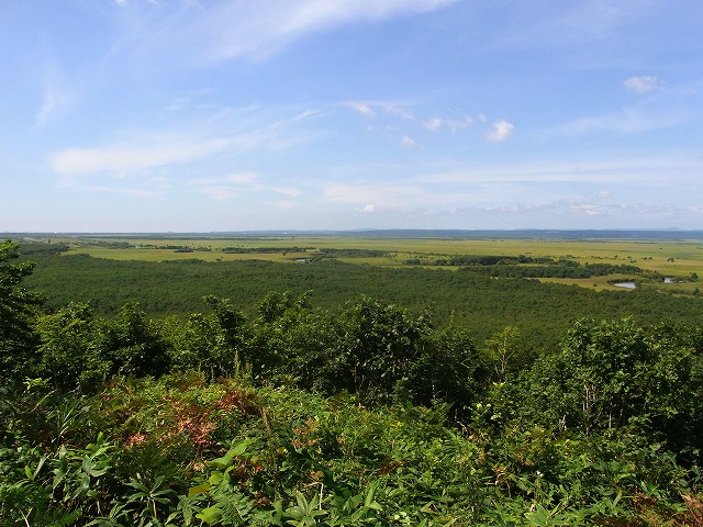 a0183811_17443258.jpg