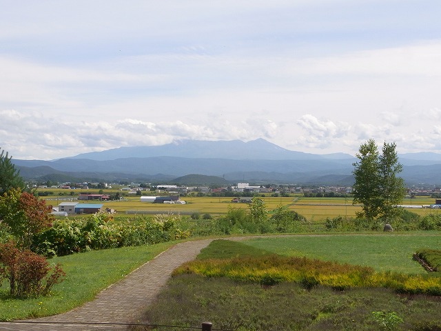 a0183811_17465458.jpg