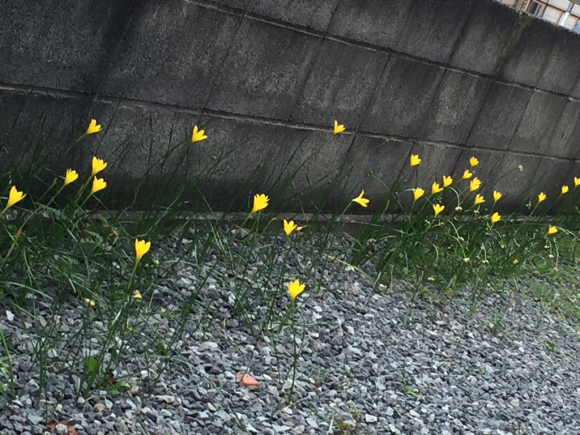 e0325811_01211158.jpg