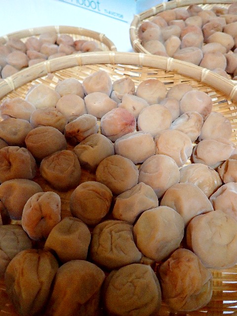 f0043911_15412958.jpg