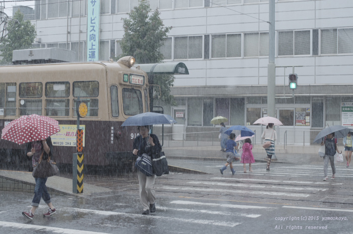 強い雨の中で_d0309612_21125039.jpg