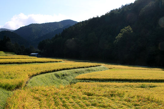 岩倉秋景色_e0048413_1431545.jpg