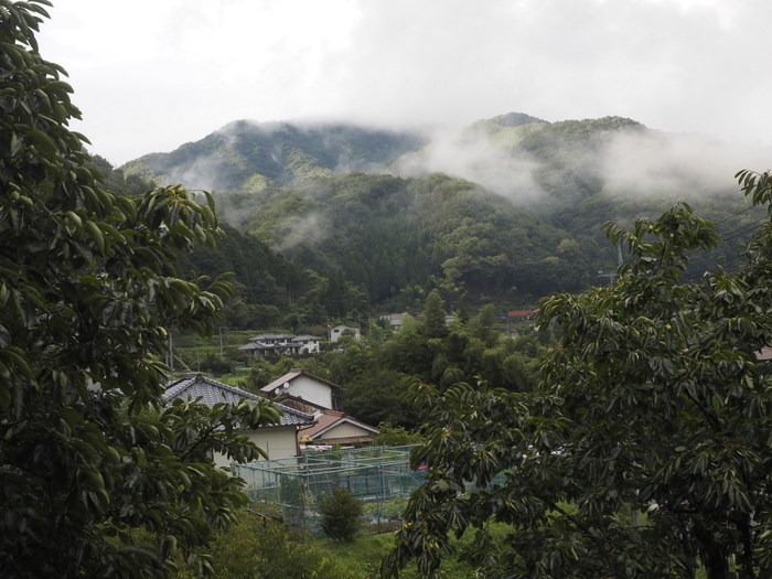 北東の風景_c0116915_23473937.jpg