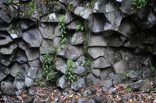 c0168815_17302307.jpg