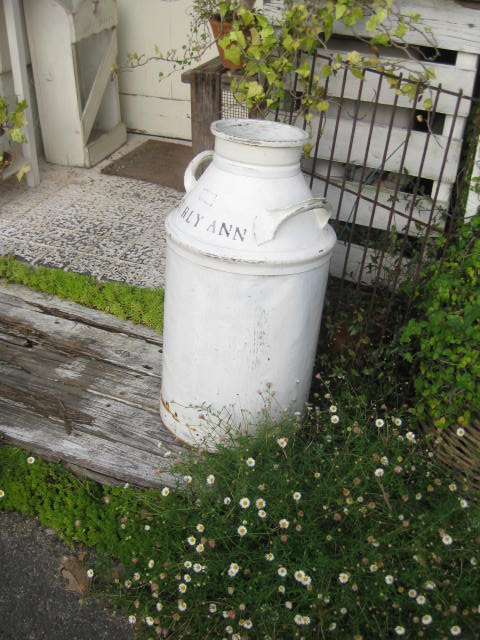 c0085916_8583314.jpg
