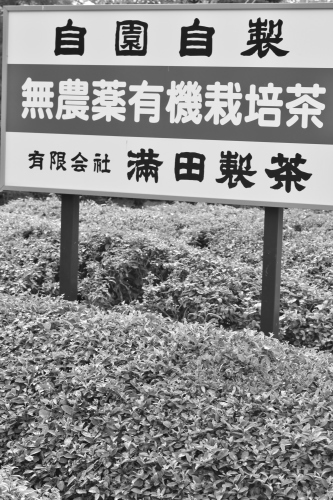 おでかけ、滋賀。_b0220318_07252273.jpg