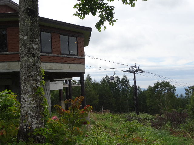 c0141223_15414537.jpg