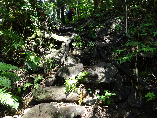 c0141223_15523559.jpg