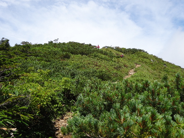 c0141223_15563228.jpg