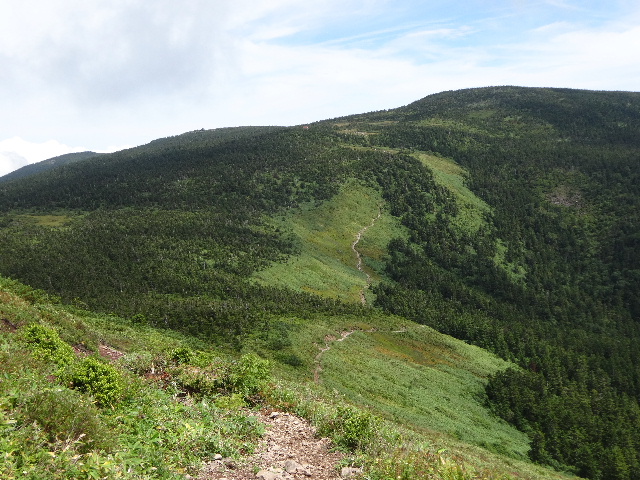 c0141223_1559826.jpg