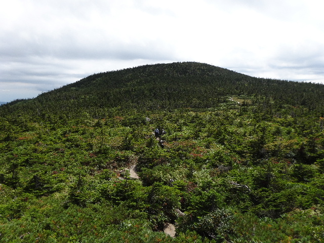 c0141223_16142634.jpg