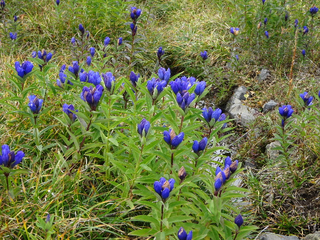 c0141223_16251132.jpg