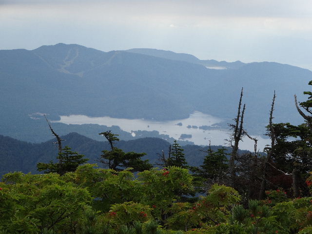 c0141223_16361337.jpg