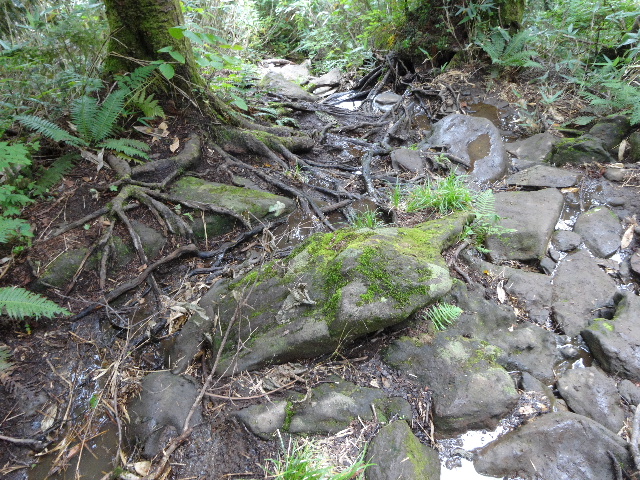 c0141223_16374118.jpg