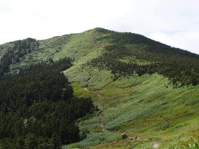 c0141223_1654662.jpg