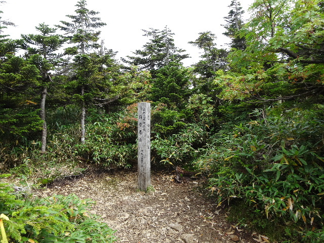 c0141223_1684333.jpg