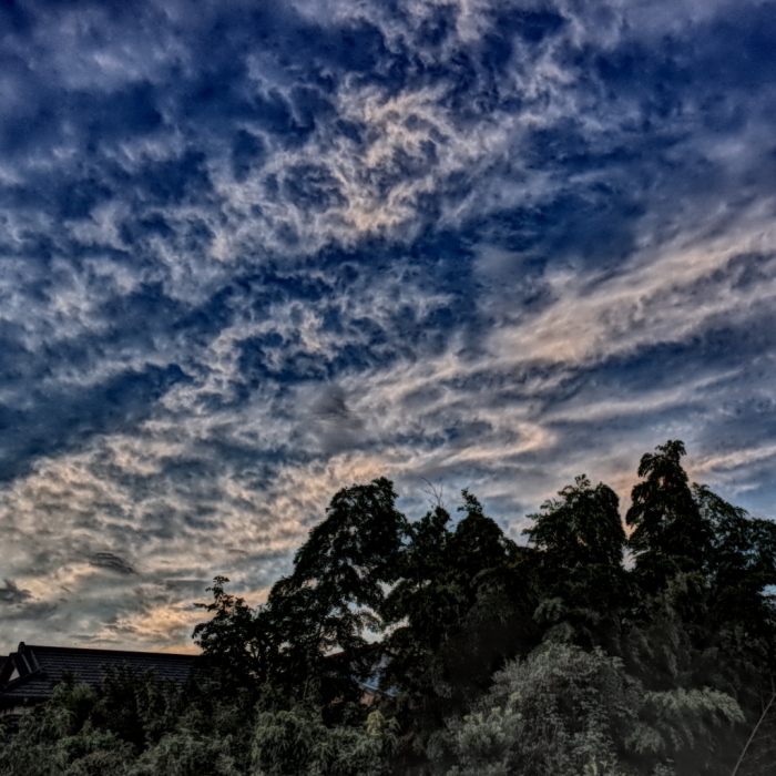 a0063128_01472952.jpg