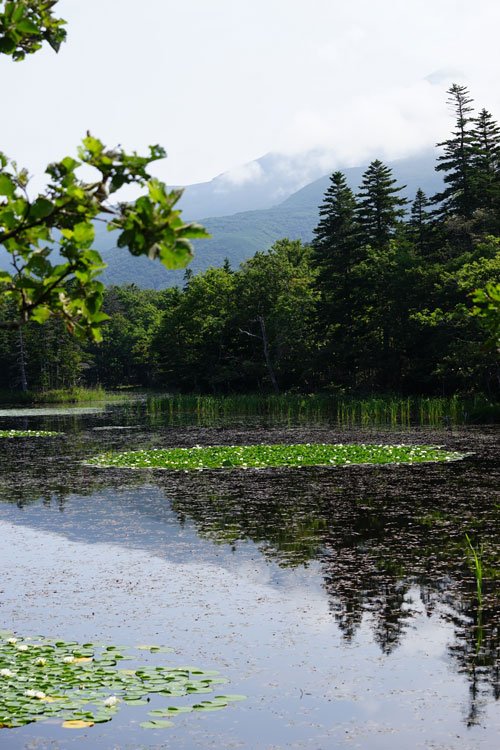 道東紀行2015～知床五湖②_f0116528_19592140.jpg