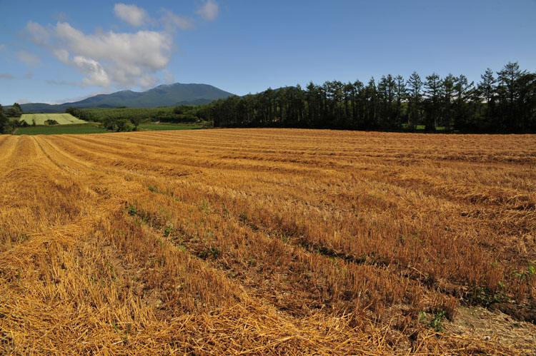 道東紀行2015～斜里町の風景_f0116528_20184837.jpg