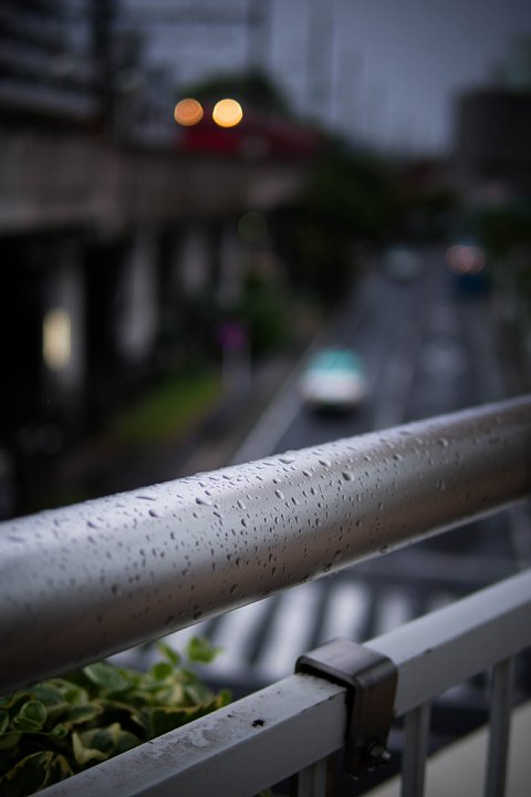 b0134829_1845760.jpg