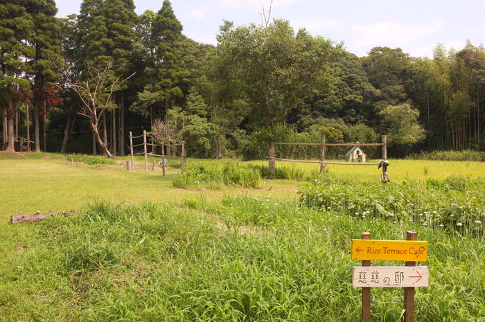 c0308431_21394828.jpg