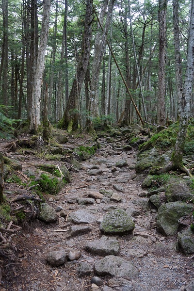 北八ヶ岳登山、苔の森に入る_a0129636_1945467.jpg