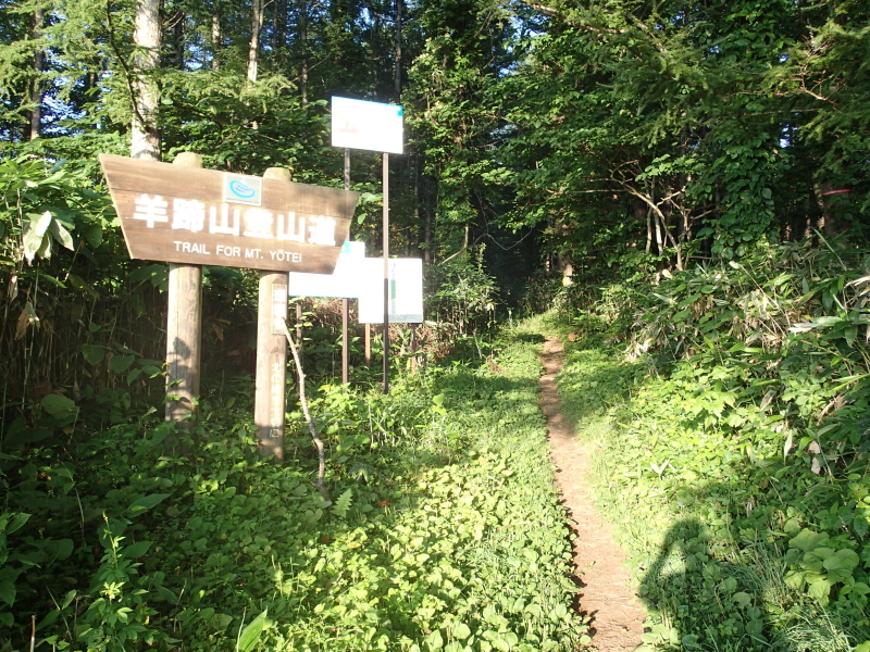 b0190242_14502934.jpg