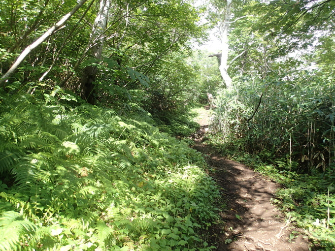 b0190242_145111.jpg