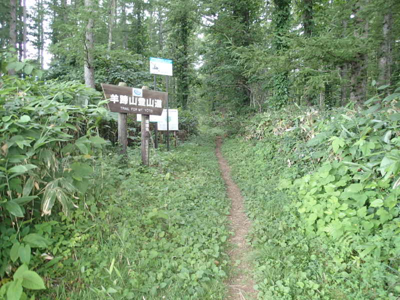b0190242_1531226.jpg