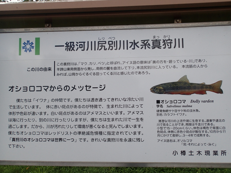 b0190242_159579.jpg