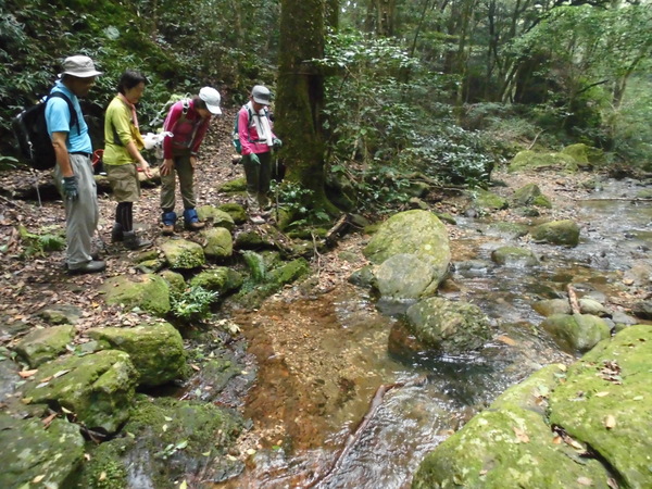 黒髪山～青螺山～牧ノ山往復トレーニング_a0206345_773013.jpg