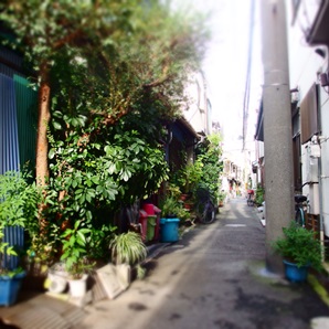 喫茶 路地　－週末のカフェ－_e0113246_945794.jpg