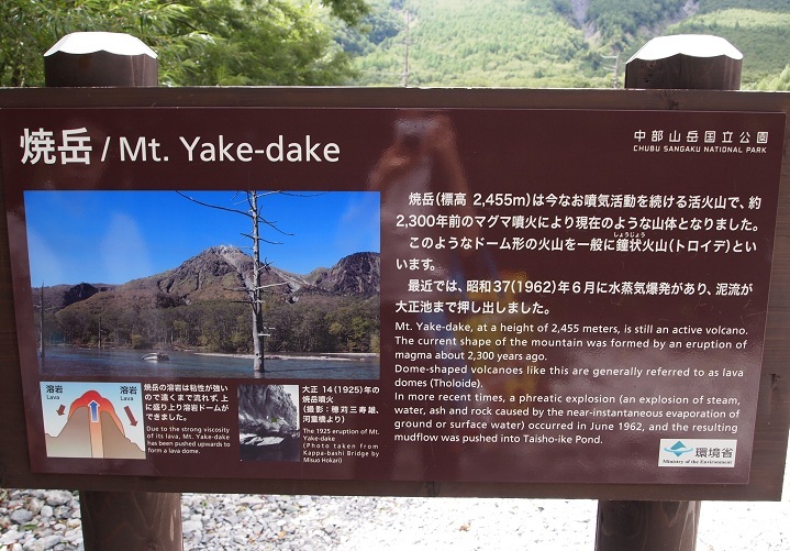 f0224347_22044897.jpg