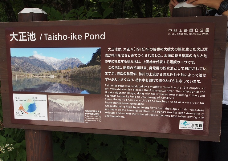 f0224347_22050911.jpg